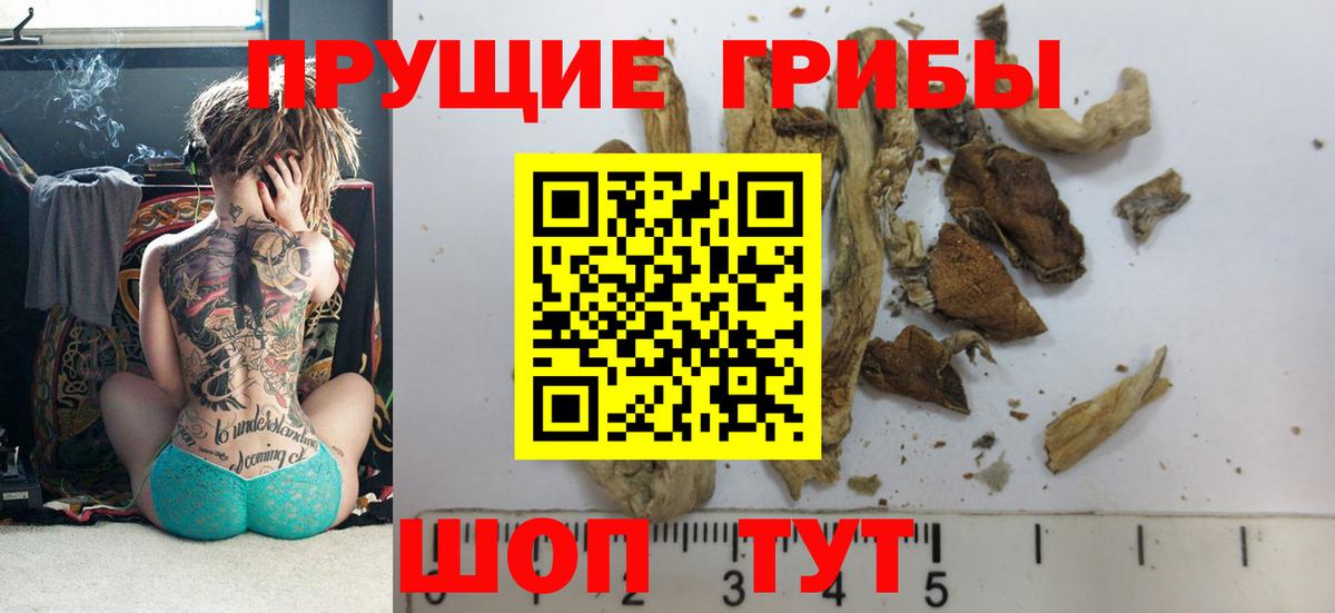 Галлюциногенные грибы Psilocybe  Псилоцибиновые грибы Cubensis  наркотики  Красноярск  Вход с VPN 
